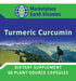 Turmeric Curcumin - Premier quality Indian turmeric Supports liver and gastrointestinal health* Contains naturally occurring curcuminoids with significant antioxidant capabilities - Marketplace Earth Vitamins, L.L.C.